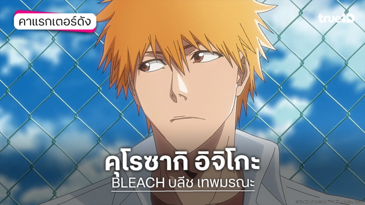 ประวัติ คุโรซากิ อิจิโกะ อนิเมะ BLEACH บลีช เทพมรณะ