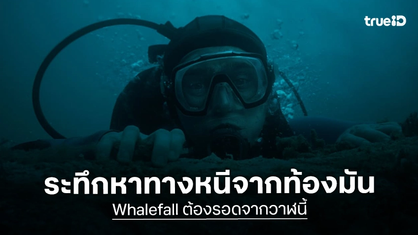 “Whalefall ต้องรอดจากวาฬนี้” ว่าที่หนังสุดระทึกแห่งปี ปล่อยตัวอย่างใหม่ ชวนลุ้นเอาชีวิตรอดจากท้องวาฬ!