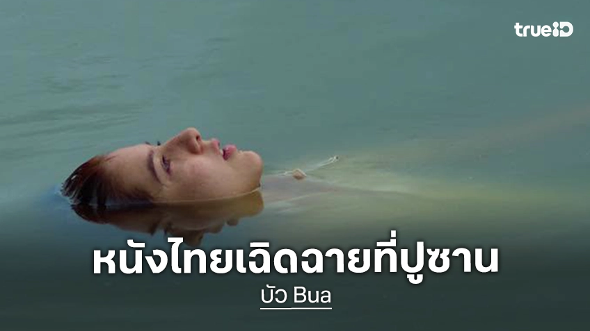 “บัว” ภาพยนตร์ไทยได้รับเลือกสู่ Vision – Asia  เทศกาลภาพยนตร์นานาชาติปูซาน ครั้งที่ 31