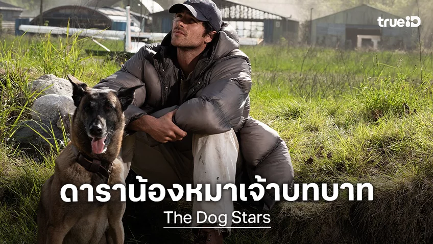 น้องหมาแจสเปอร์ ตัวแทนความอบอุ่นใน "The Dog Stars" กับเบื้องหลังการถ่ายทำและความผูกพันกับเจค็อบ เอลอร์ดี