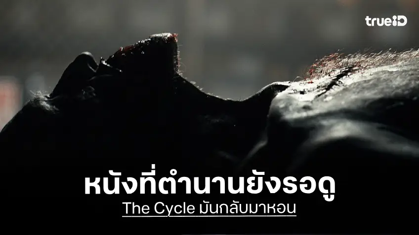 หนังสยองที่ สตีเวน คิง ให้ปักหมุดรอดู!  “The Cycle มันกลับมาหอน” การันตีความโหด หลอน หอนไม่หยุด