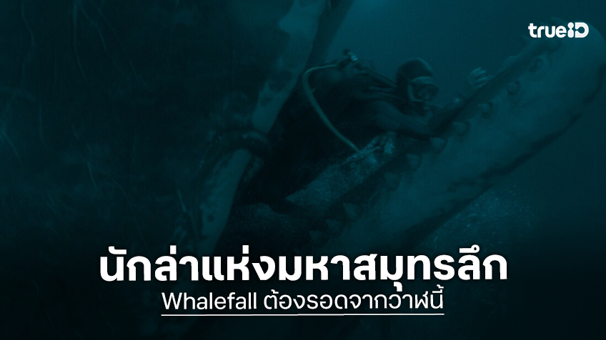 "Whalefall ต้องรอดจากวาฬนี้" ชวนเปิดโลกวาฬสเปิร์ม นักล่าแห่งมหาสมุทรลึก ก่อนถลำไปสู่ในท้องวาฬ