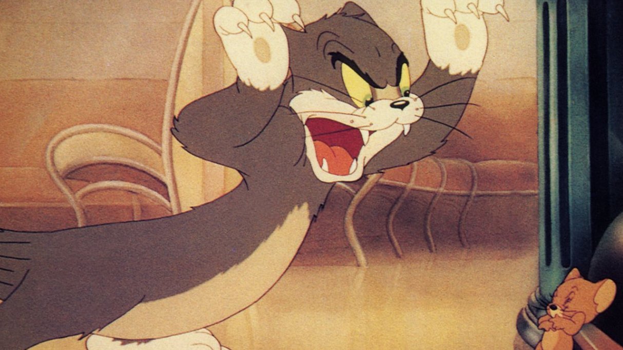 Tom Jerry Cartoon In Urdu Nimfasino 