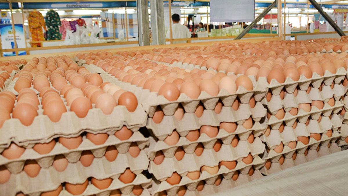หวั่นสัปดาห์หน้าล้นตลาด! หลังคนแห่ซื้อ ไข่ไก่ ตุน ยันมีผลิตกว่า 40ล้านฟองต่อวัน