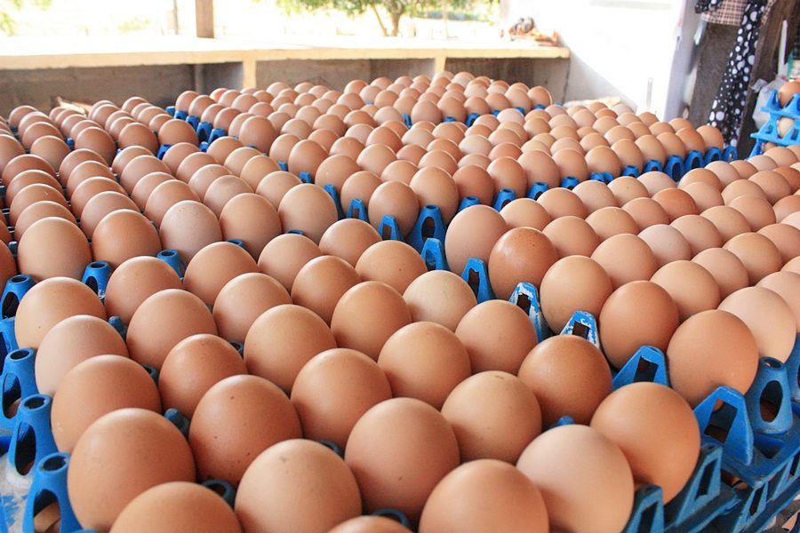 'ก.เกษตรฯ'​ ยันไข่ไก่เพียงพอ วอนประชาชนงดกักตุนปิดช่องโหว่ค้ากำไรเกินควร