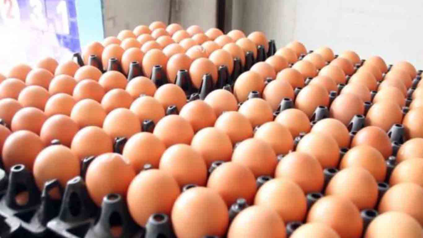 ปราจีนบุรีไข่ไก่แพงไม่แพ้ที่อื่นแผงละ 145 บาท