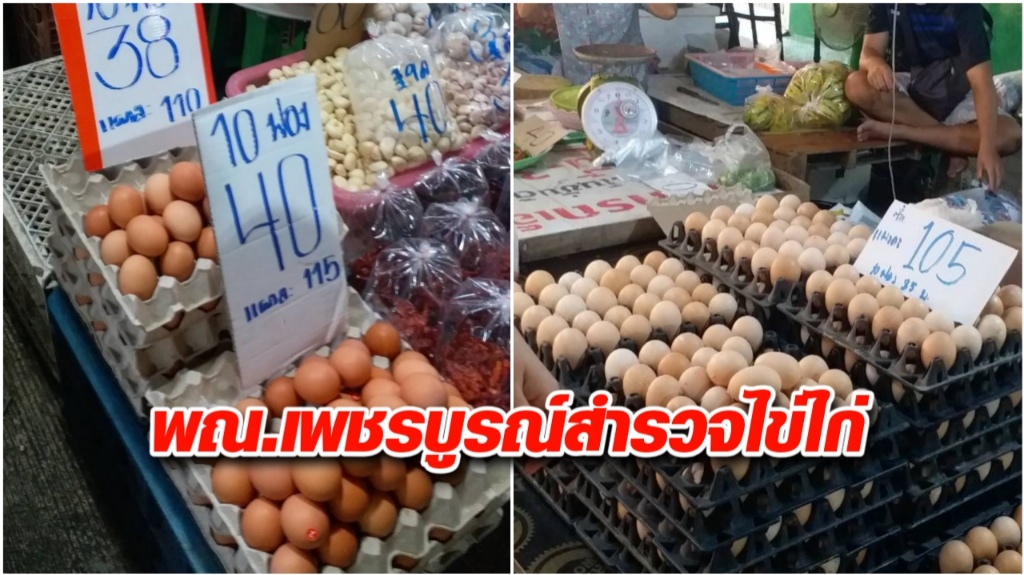 พณ.เพชรบูรณ์ สำรวจสถานการณ์ไข่ไก่ ร้านค้าปลีก