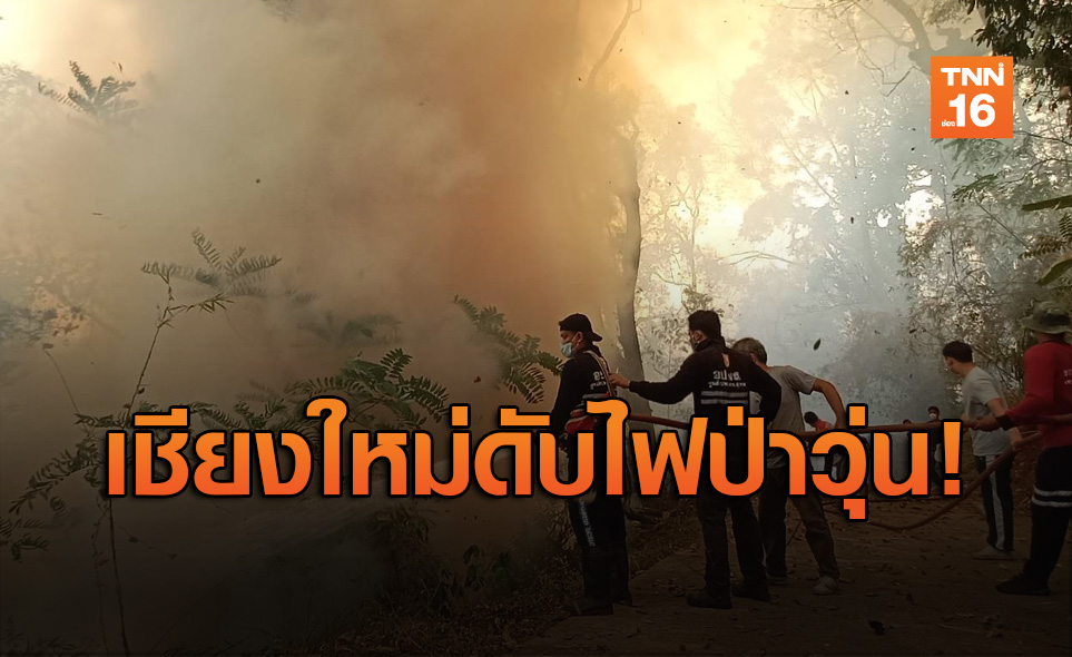 ไฟป่าลุกใกล้วัดพระธาตุดอยสุเทพฯ ใช้เวลา 2 ชม.คุมไว้ได้