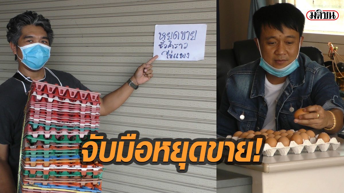 ยี่ปั๊วไข่ไก่รายใหญ่ 5 จังหวัดภาคกลาง จับมือหยุดขาย เหตุราคาหน้าฟาร์มขึ้นสุดโหด