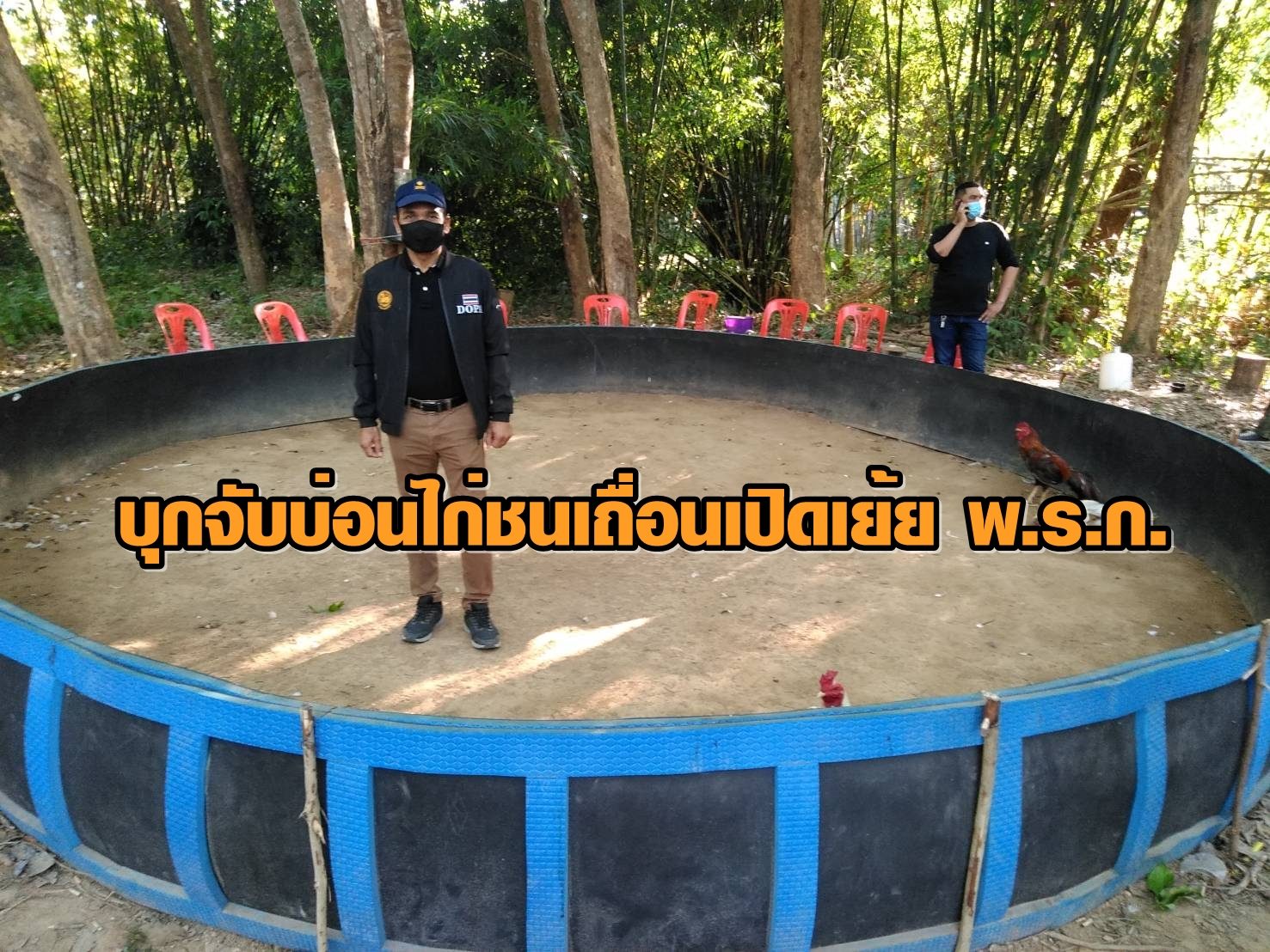 ไม่แคร์สังคม ไม่สนพ.ร.ก.ฉุกเฉิน! เซียนพนันไก่ชนรวมตัวที่นครศรีฯ - ผู้ว่าฯ สั่งล่าตัว