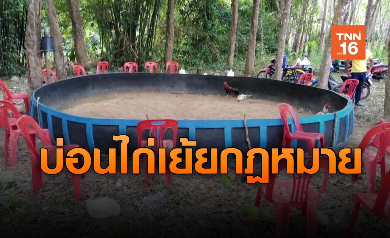 เย้ยโควิด! ลอบเปิดบ่อนไก่พื้นที่พบผู้ป่วยติดเชื้อ
