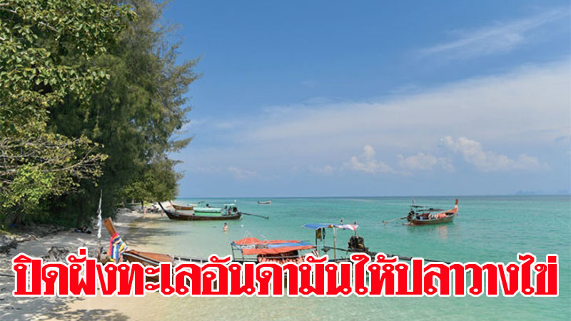 1 เม.ย.-30 มิ.ย. ปิดฝั่งทะเลอันดามัน “ภูเก็ต-พังงา-กระบี่-ตรัง” ให้ปลาวางไข่