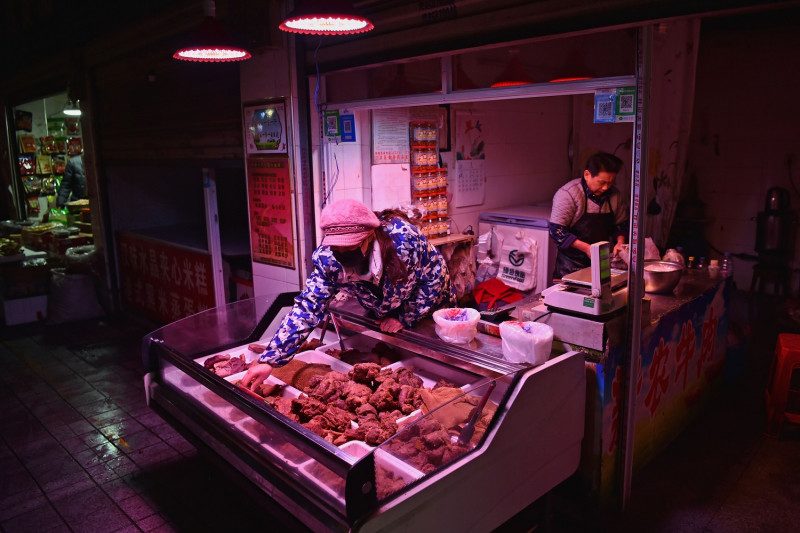 คนรักสัตว์เฮ! "เซินเจิ้น" นำร่องเป็นเมืองแรกของจีน ห้ามกินเนื้อหมาแมว