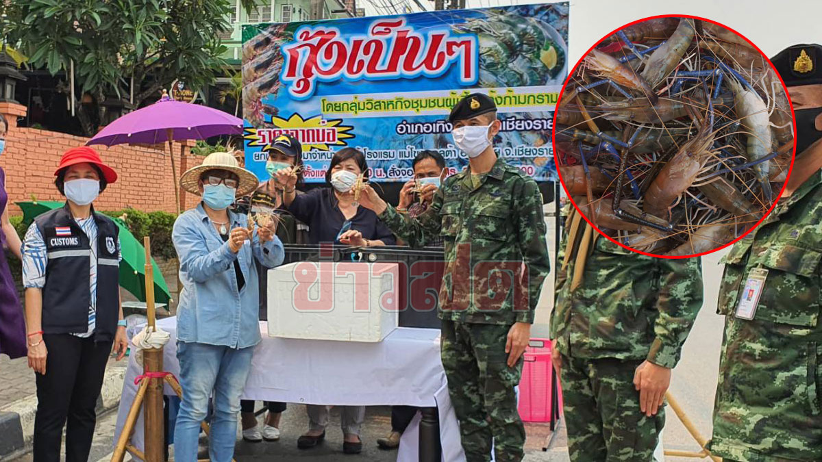 โควิดลามยันกุ้งก้ามกราม! ขายไม่ได้ ตกค้างเกือบ 20 ตัน หอการค้ายื่นมือช่วย