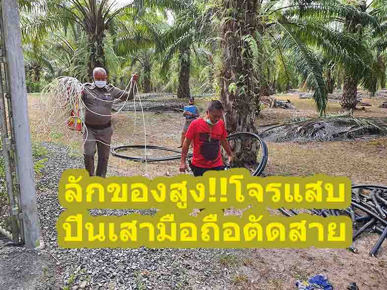 ลักของสูง!!โจรแสบอ้างช่างดีแทค ตัดสายสัญญาณเสามือถือเสียหายร่วมล้าน