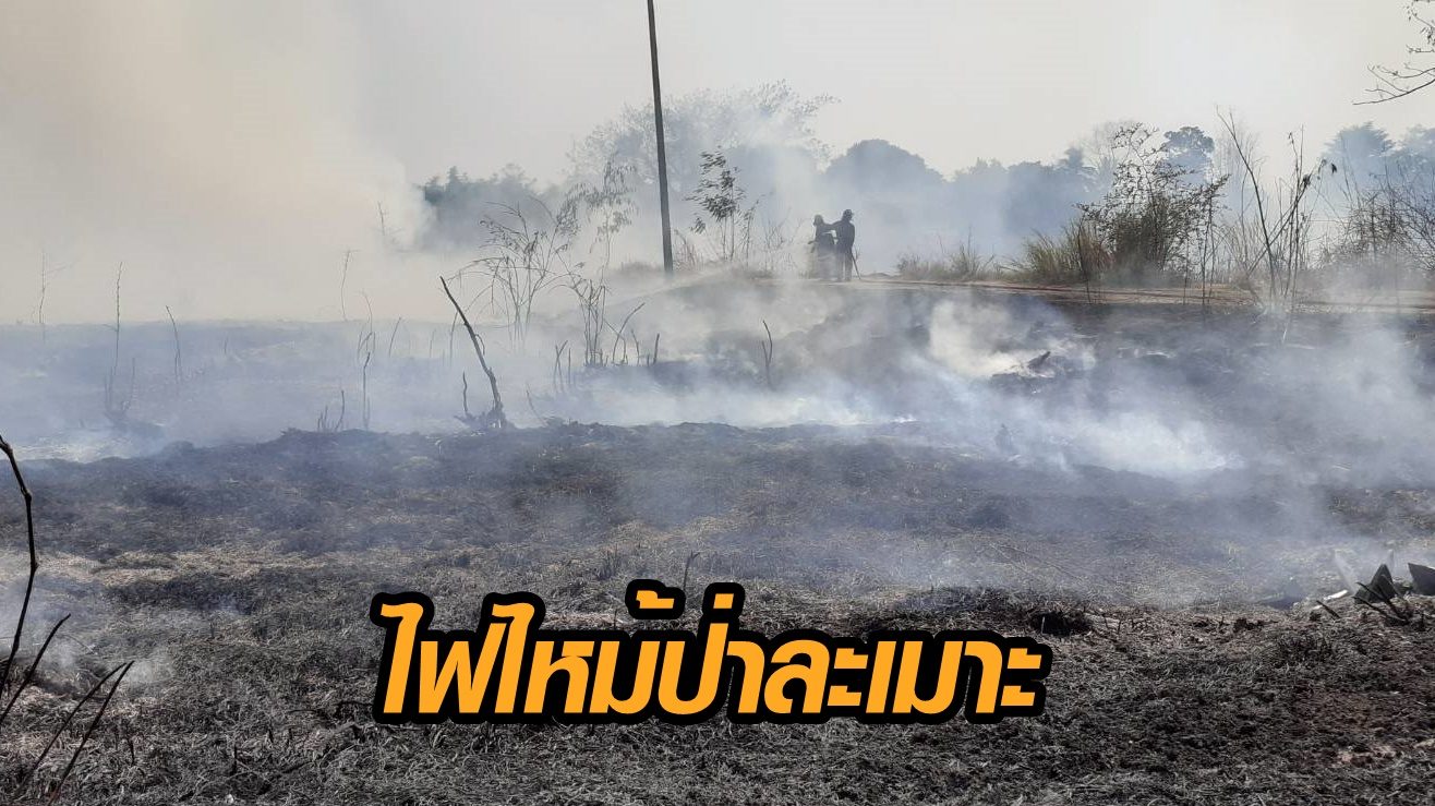 ไฟไหม้ป่าละเมาะ หลังโรงเรียนบุญลำพูน ลามกว่า 10 ไร่ ยังไม่ ...