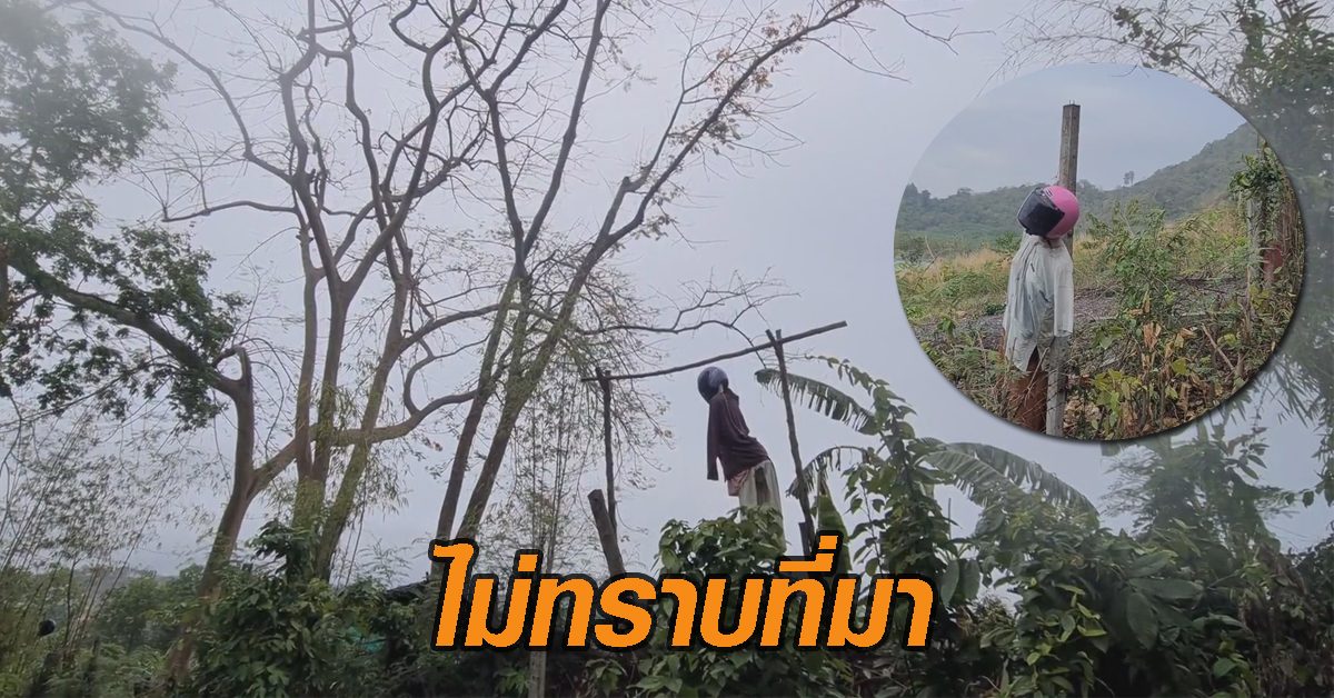 หุ่นปริศนา! ไม่ทราบที่มา ทำผู้สัญจรบนถนนสายชนบทสัตหีบผวาแทบทุกราย