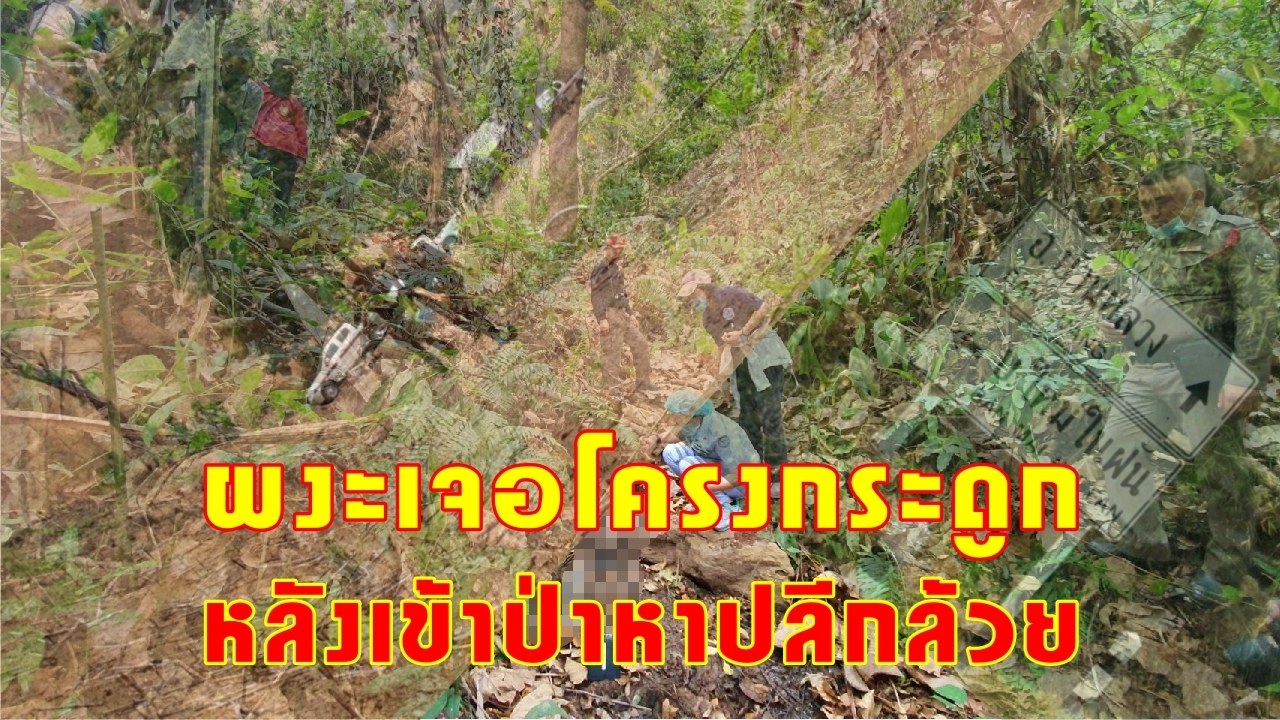ผงะเจอโครงกระดูก หลังเข้าป่าหาปลีกล้วย