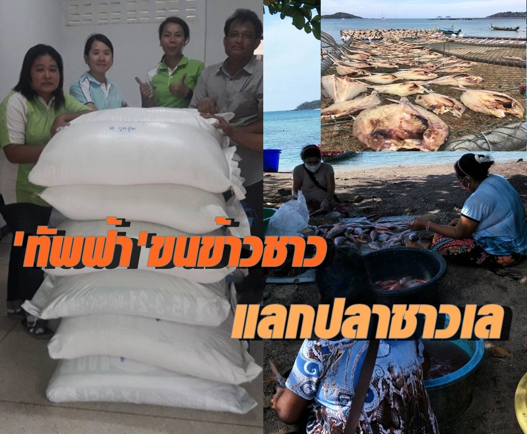 'ทัพฟ้าช่วยไทย ต้านภัยโควิด-19' ขนข้าวชาวนา แลกเปลี่ยนปลาชาวเล