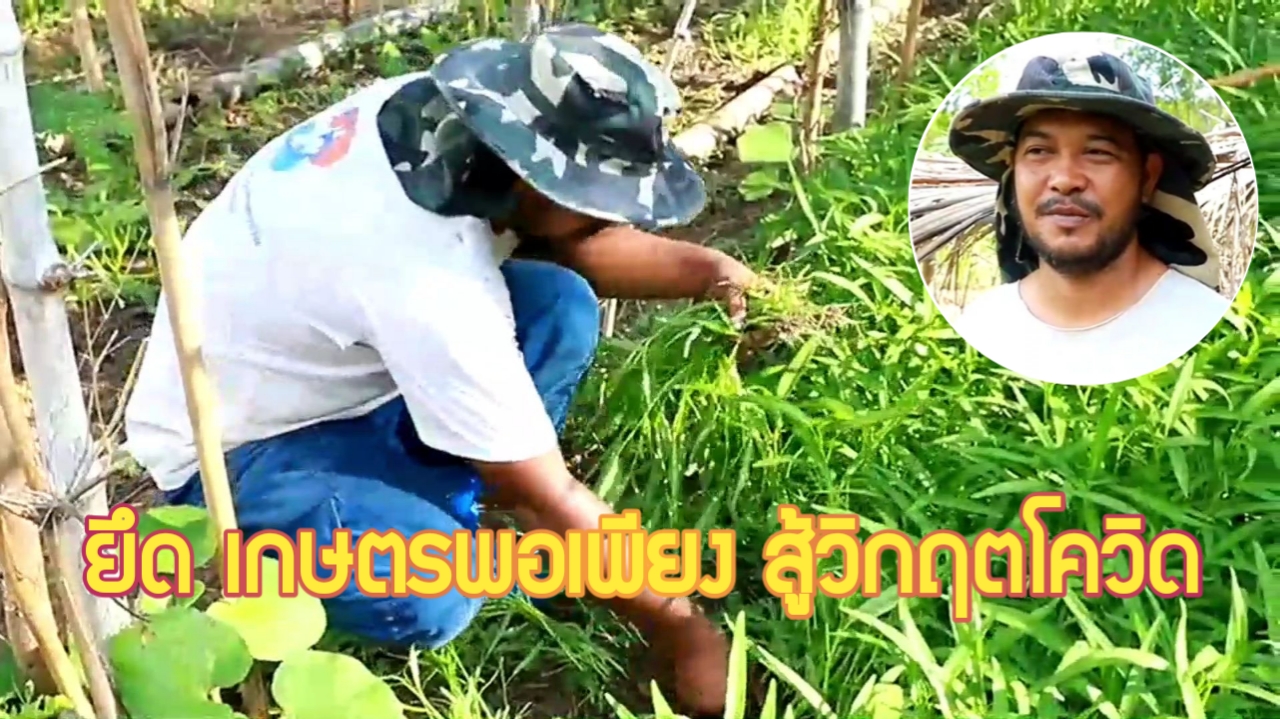 กระบี่-อดีตหัวหน้ารปภ. ผันตัวช่วงวิกฤตโควิด ทำเกษตรพอเพียง สร้างรายได้ (ชมคลิป)