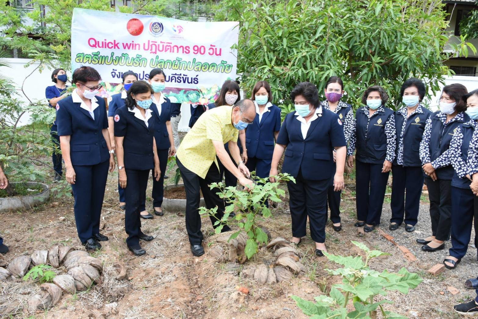 ผู้ว่าฯประจวบฯ ชวนประชาชนปลูกผักสวนครัว ลดรายจ่ายฝ่าวิกฤตโควิด