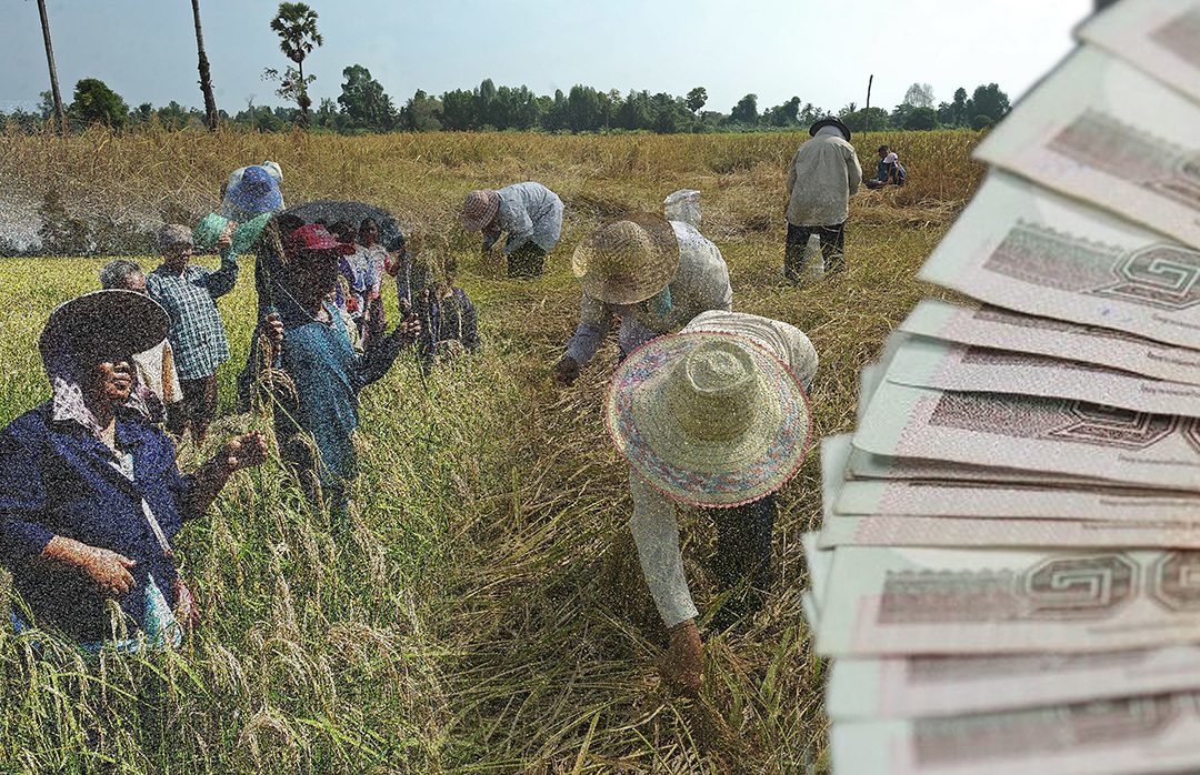 ‘ธ.ก.ส.’เผยเงินเยียวยาเกษตรกร 5,000 จ่ายงวดแรกครบ 10 ล้านรายภายในพ.ค.นี้แน่