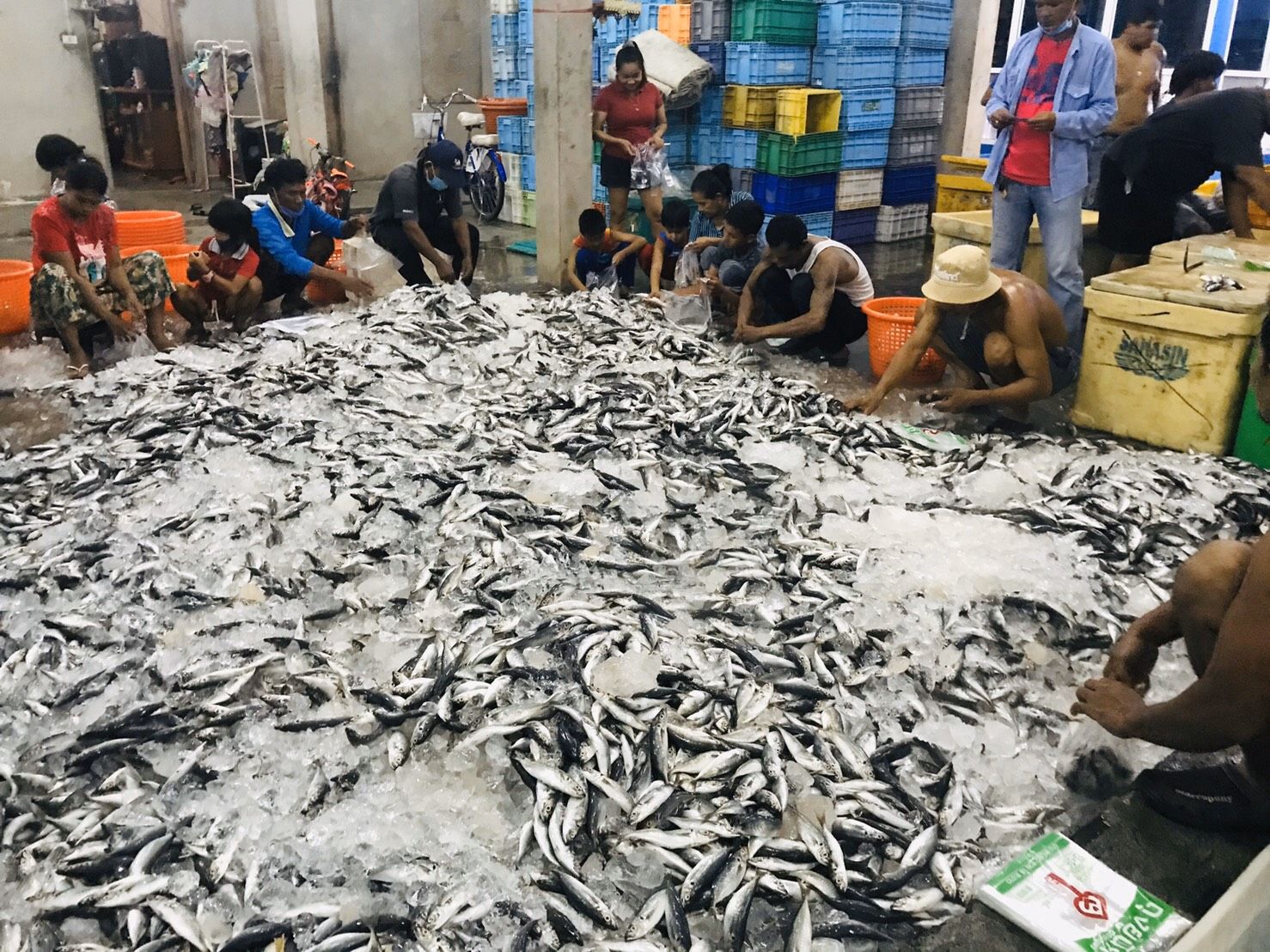 ช่วยเพื่อนบ้าน แพปลาระนอง ขนปลาสด 2.8 ตัน แจกชาวบ้านในจ.พังงา