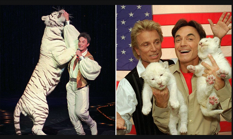 รอย ฮอร์น นักมายากลดังจาก " Siegfried & Roy "เสียชีวิตหลังติดโควิด-19!!!