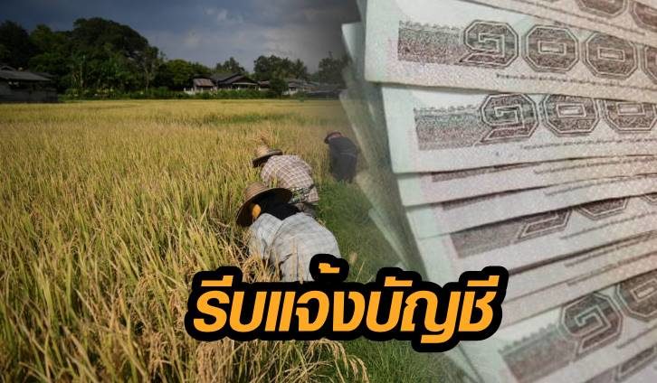 ด่วน! เกษตรกร 2.5 แสนราย รีบแจ้งบัญชี ระวังชวดเงินเยียวยา 5 พันบาท