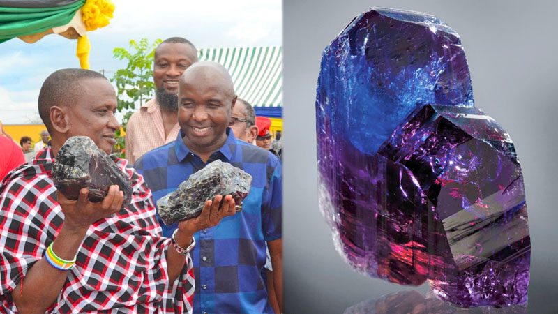 เศรษฐีข้ามคืน! ชายหาแร่เจอหิน “แทนซาไนต์” 2 ก้อนยักษ์-พลิกรวย “ร้อยล้าน”