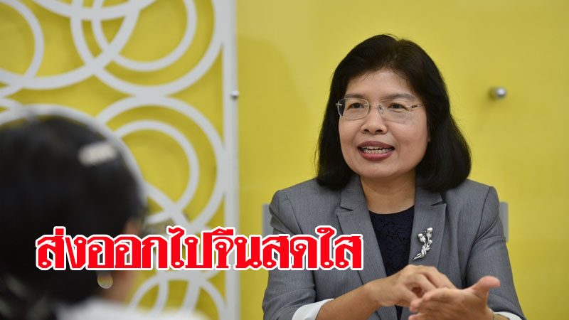 5 เดือนแรกส่งออกไปจีนโต 5% หลังปลดล็อกโควิด โอกาสทองผู้ประกอยการไทยเจาะตลาด