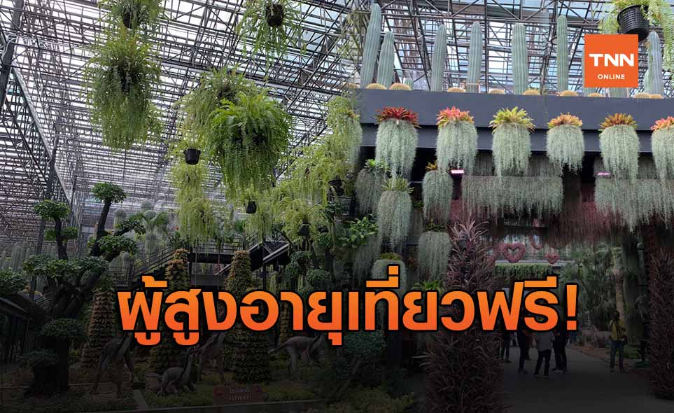 สวนนงนุช พัทยา จัดโปรผู้สูงอายุเที่ยวฟรี-ต่างชาติราคาคนไทย