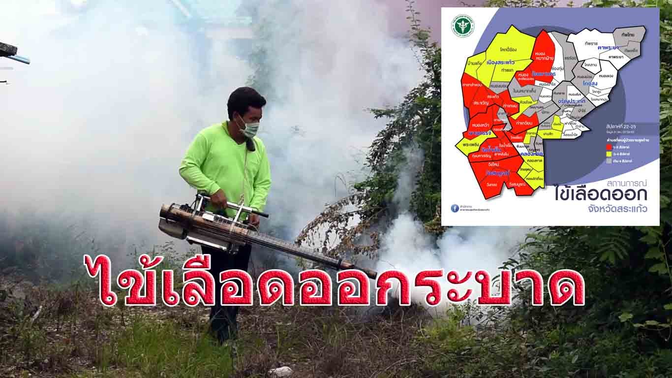 10 ตำบลเสี่ยงเกิดโรคไข้เลือดออก พบผู้ป่วยแล้ว 248 ราย ตาย 2