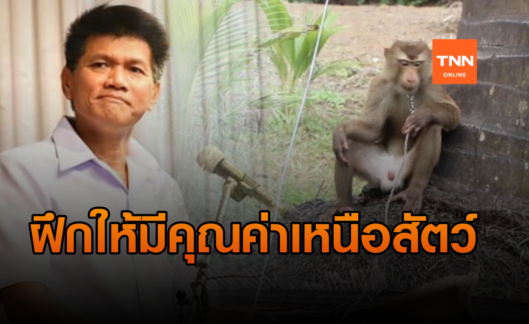"สาธิต" สอน "พีต้า" เป็นภูมิปัญญาไทย ฝึกสัตว์ ให้มีคุณค่าเหนือ "สัตว์"