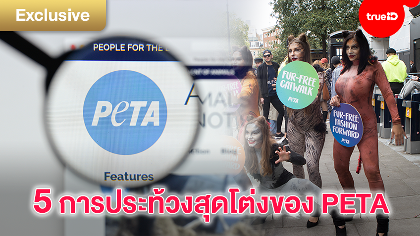 รวม 5 ผลงานการประท้วงสุดโต่งของ PETA องค์กรเพื่อสิทธิสัตว์