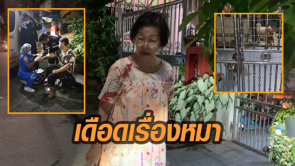 ยายวัย 81 ใช้มีดแทงสวนเพื่อนบ้านเลือดพุ่ง หลังทะเลาะเรื่องหมา แล้วถูกรุมตบต่อย