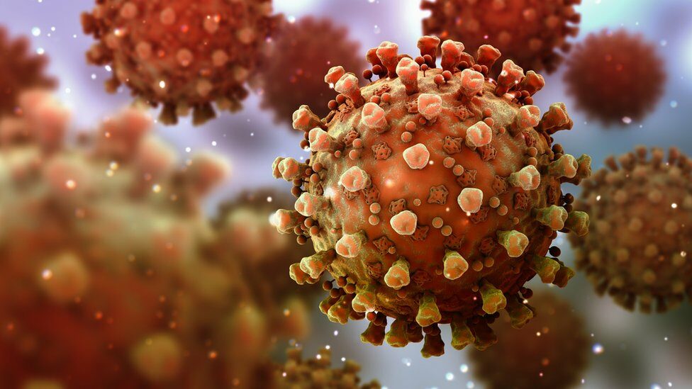 โควิด-19: งานวิจัยล่าสุดชี้ภูมิต้านทานไวรัสของคนอยู่ได้ไม่นาน ดับหวังการใช้ "ภูมิคุ้มกันหมู่" สู้โรคระบาด