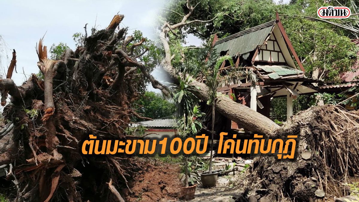 ระทึก ! หลวงพี่เล่านาที กระโดดหนี พายุถล่มพัดต้นมะขามกว่า 100ปี โค่นทับกุฎิพัง