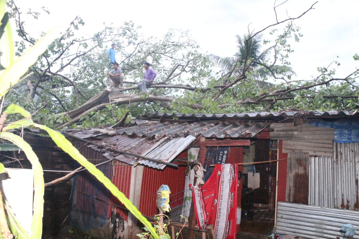 พายุพัดถล่มต้นโพธิ์อายุกว่า 100 ปี หักล้มทับบ้านพังเสียหายหลายหลัง