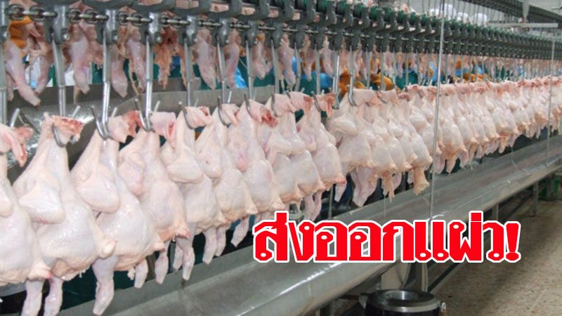 โควิดฉุดส่งออกไก่แผ่วครึ่งปี 4.7 แสนตันเพิ่ม 2% เหตุโควิดระบาด ยอดอียูวูบ 10% แต่ทั้งปียังคงเป้า 9.8 แสนตัน