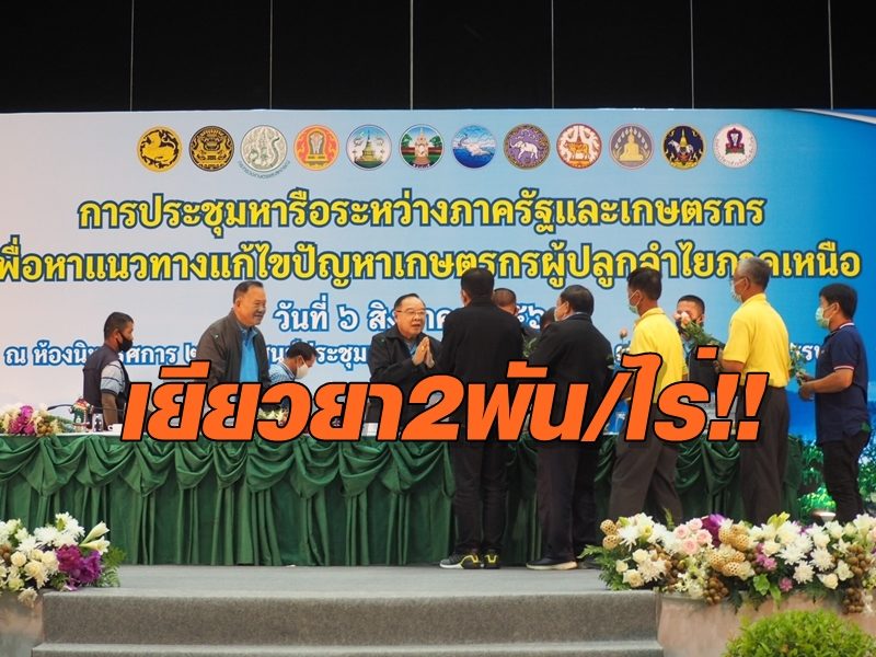 เกษตรกรสวนลำไยเหนือเฮ บิ๊กป้อม ลั่นตั้งงบ 2 พันล.เยียวยา 2 พัน/ไร่ เล็งเข้า ครม.สัปดาห์หน้า