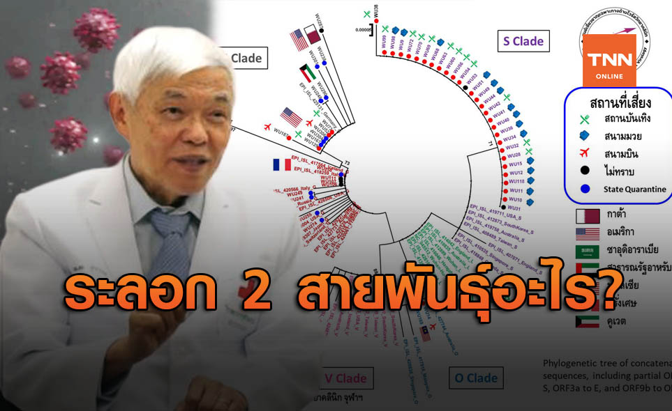 หมอยง ตั้งข้อสงสัย หากโควิด-19 ระบาดรอบ 2 ในไทย จะเป็นสายพันธุ์อะไร?
