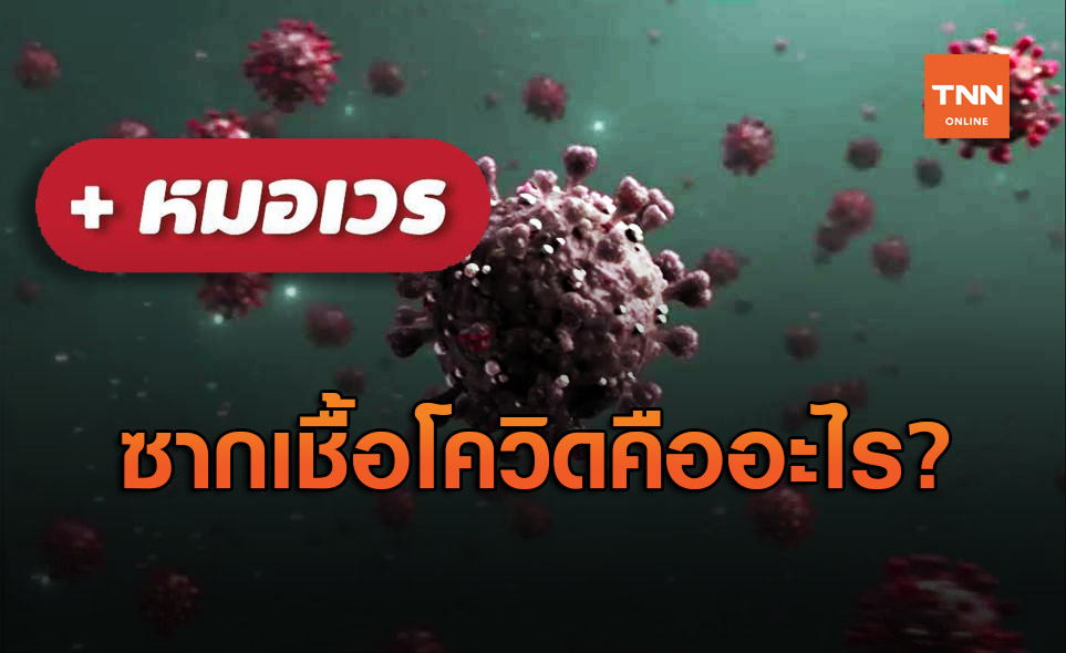 เพจดัง ชี้ "ซากเชื้อโควิด-19" ไม่น่ากลัว แพร่เชื้อต่อไม่ได้