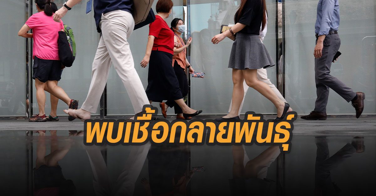 สิงคโปร์พบเชื้อโควิด-19 สายพันธุ์ใหม่ ชี้เชื้ออ่อนลงไม่ทำให้ถึงตาย