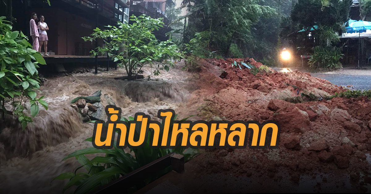 น้ำป่าหลากท่วม ต.ห้วยแก้ว อ.แม่ออน เชียงใหม่ เจ้าหน้าที่รุดลงพื้นที่เคลียร์ถนน-ซ่อมระบบไฟ