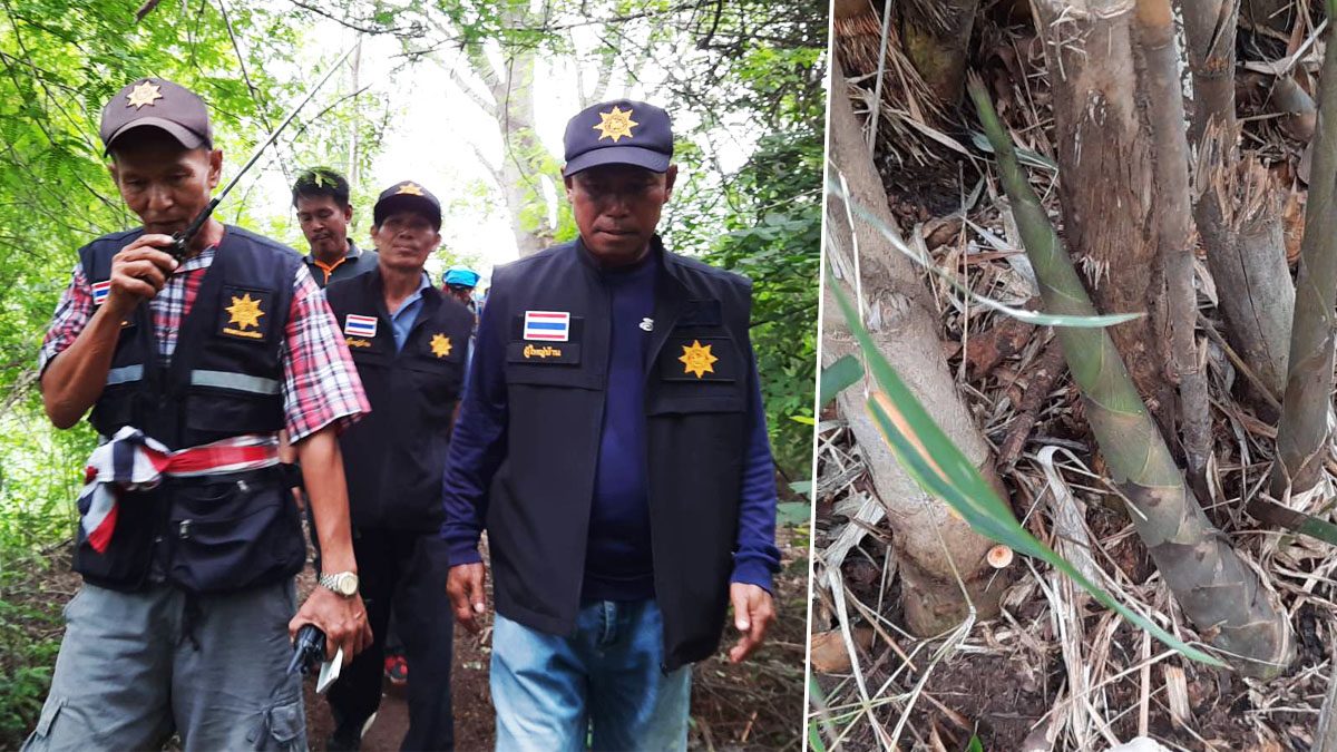 พ่อเฒ่า วัย 73 ขึ้นเขาหาหน่อไม้ หายเข้าป่า อาถรรพ์ภูแลนคา พบร่างหัวทิ่มในป่าไผ่