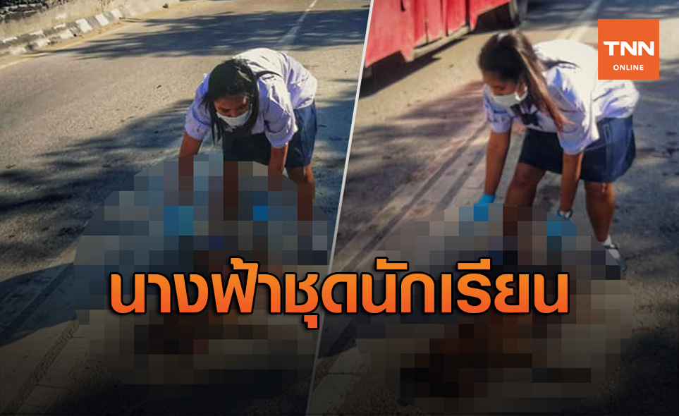 ชื่นชม! นักเรียนม.2นนทรีวิทยา ช่วยสุนัขถูกรถชน