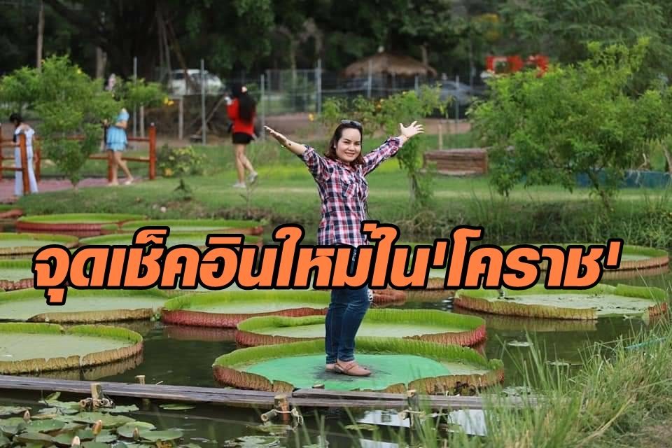 จุดเช็คอินใหม่โคราช! นั่งใบบัวยักษ์จิบกาแฟนผ่อนคลายในค่ายทหาร