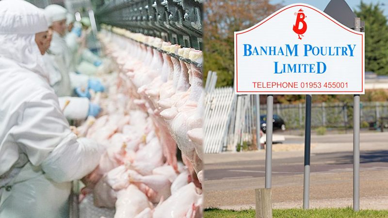 โควิด : คลัสเตอร์ “โรงงานไก่” แดนผู้ดี ติดเชื้ออีกพุ่ง 100 คน สั่งแยกกักตัว 350 คน