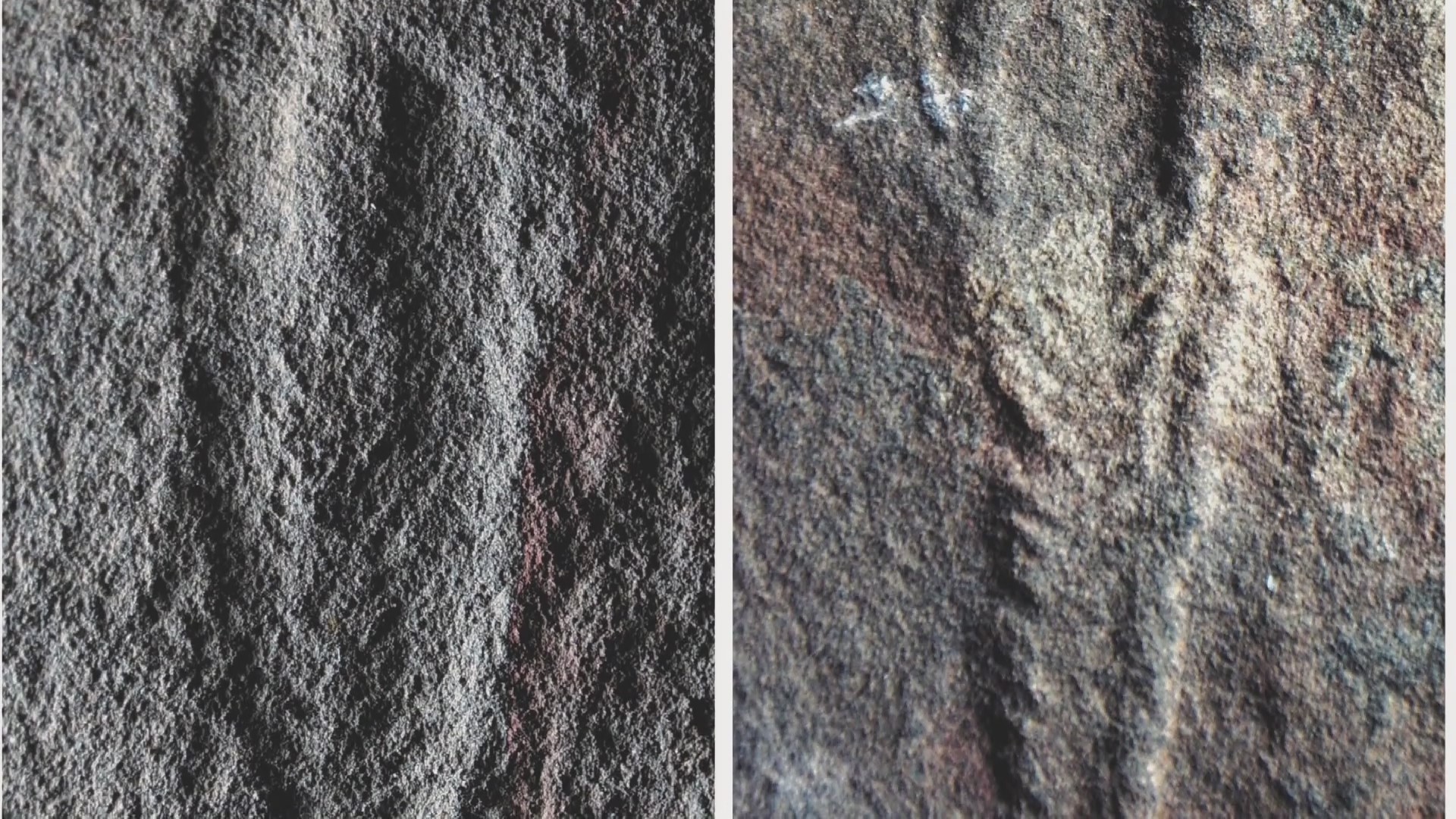 นักโบราณคดีพบฟอสซิลอายุ '550 ล้านปี' ก้นแม่น้ำแยงซีตอนบน